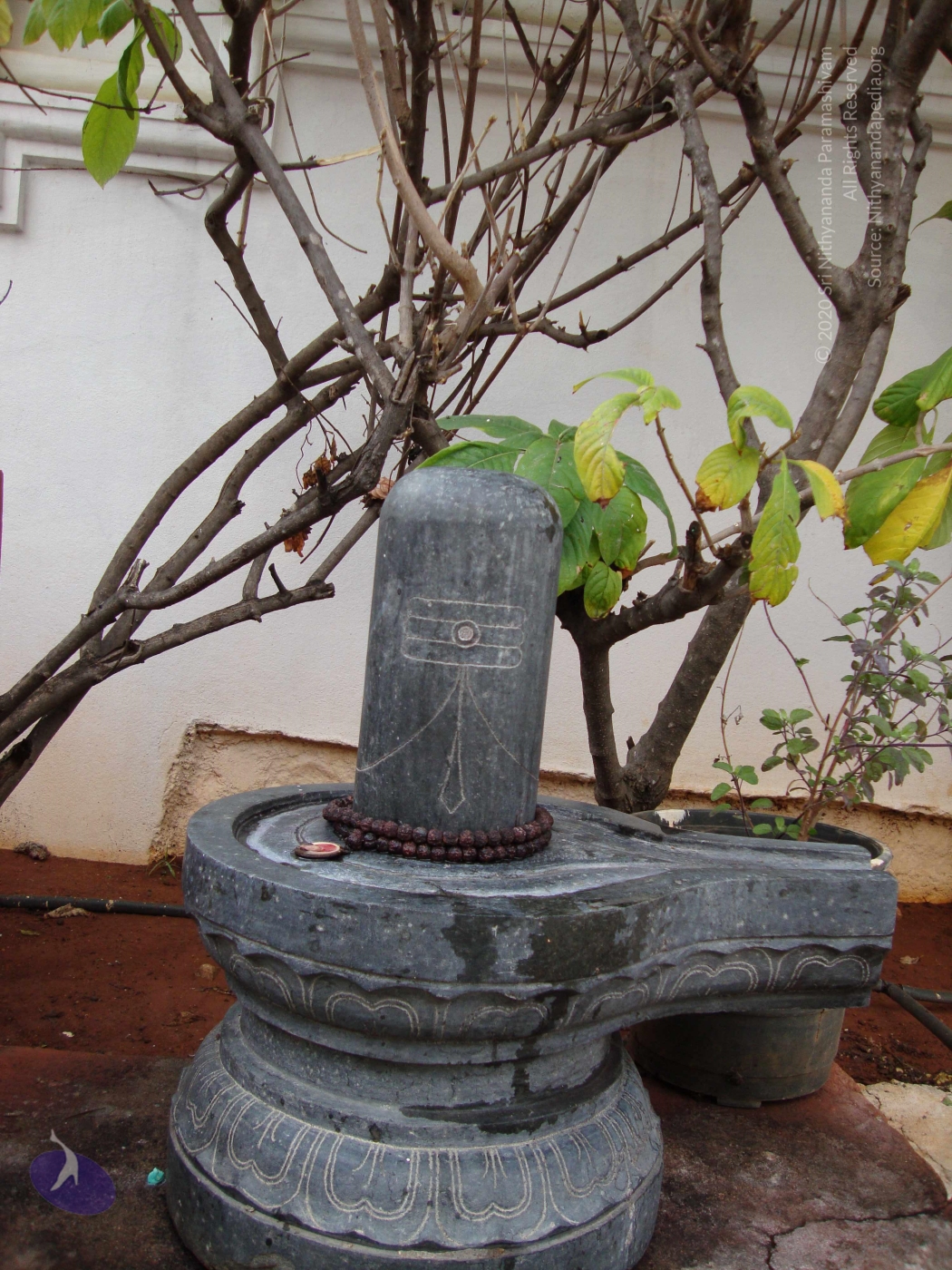 20100926_Photo_1018_DSC00337_CMP_WM