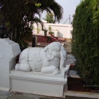 20100926_Photo_1026_DSC00250_CMP_WM