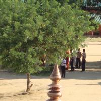 20100926_Photo_1037_DSC00693_CMP_WM