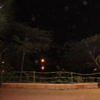 20100926_Photo_1079_DSC00244_CMP_WM