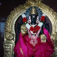 20100926_Photo_1096_DSC00329_CMP_WM