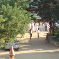 20100926_Photo_1105_DSC00766_CMP_WM