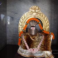 20100926_Photo_1112_DSC00265_CMP_WM