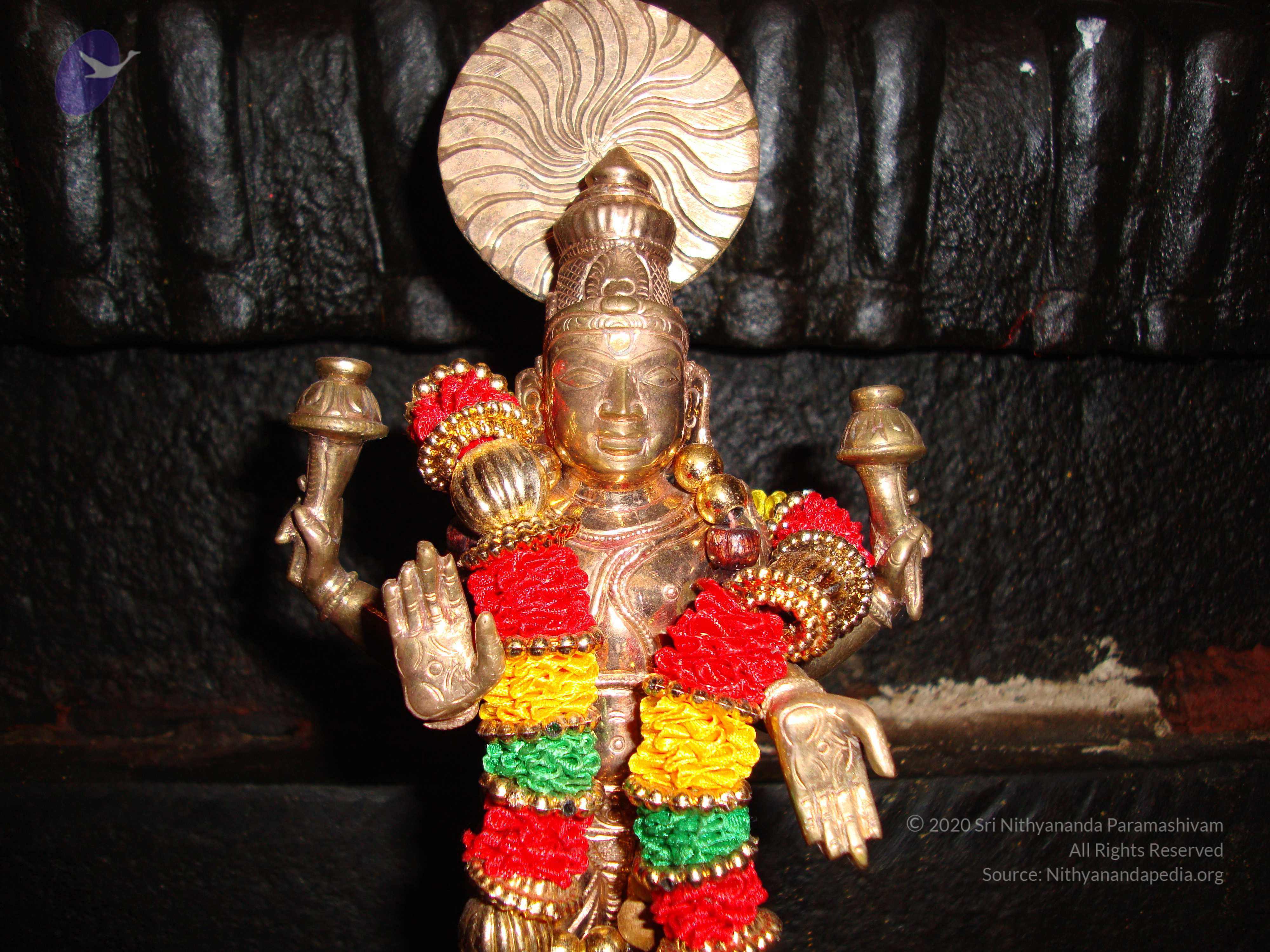 20100926_Photo_1115_DSC00324_CMP_WM