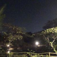 20100926_Photo_1119_DSC00191_CMP_WM