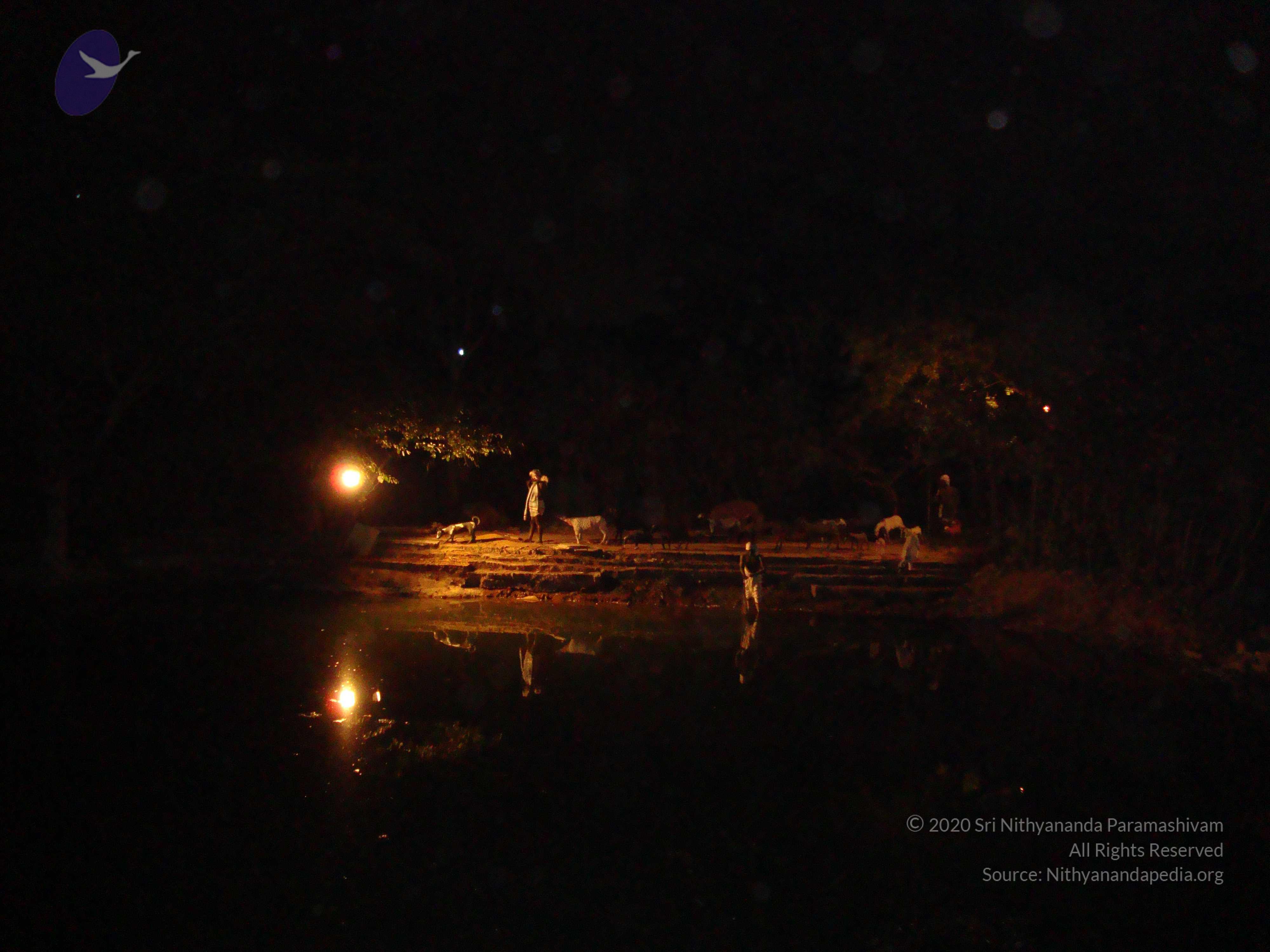 20100926_Photo_1136_DSC00202_CMP_WM