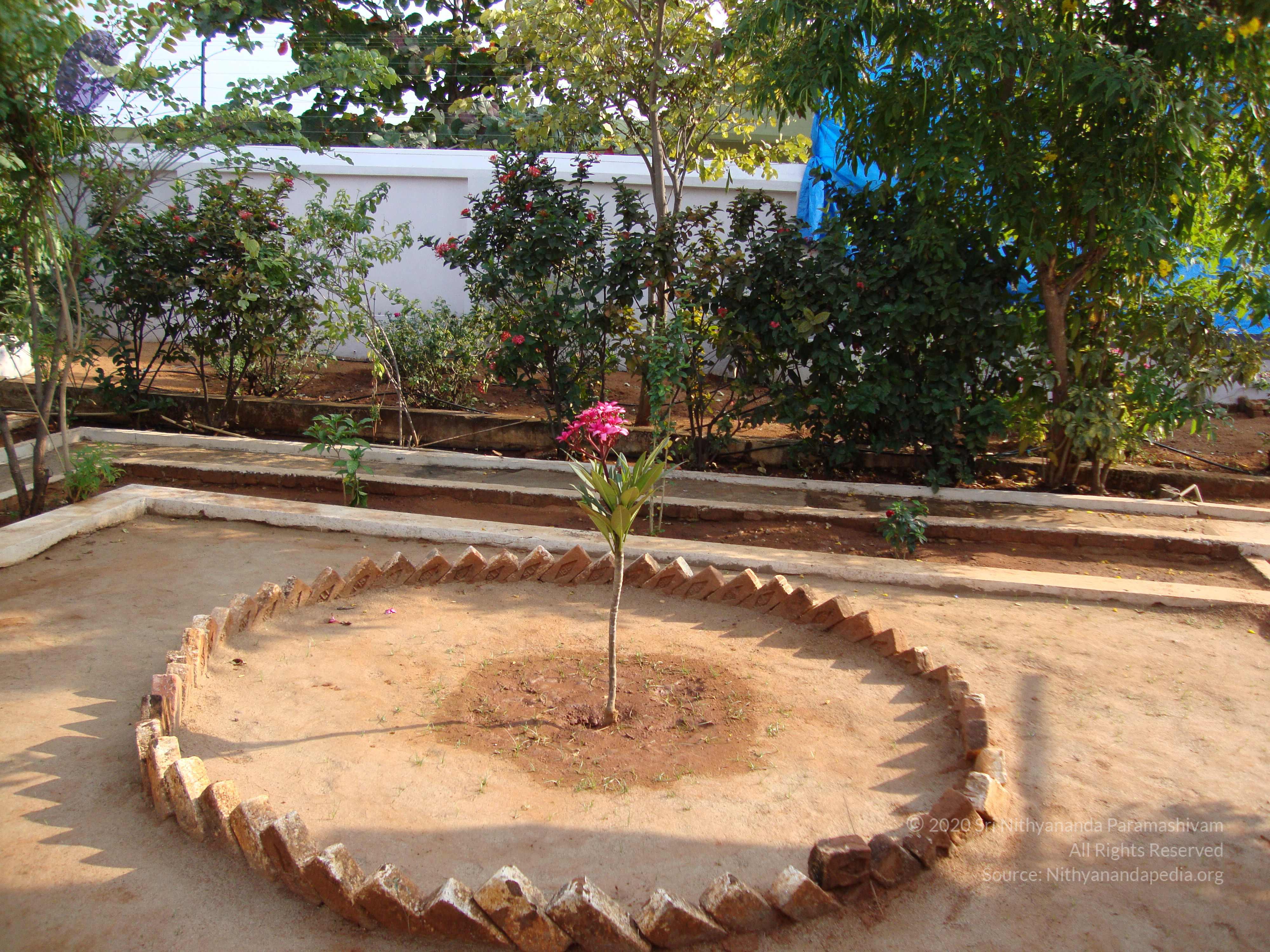 20100926_Photo_1161_DSC00254_CMP_WM