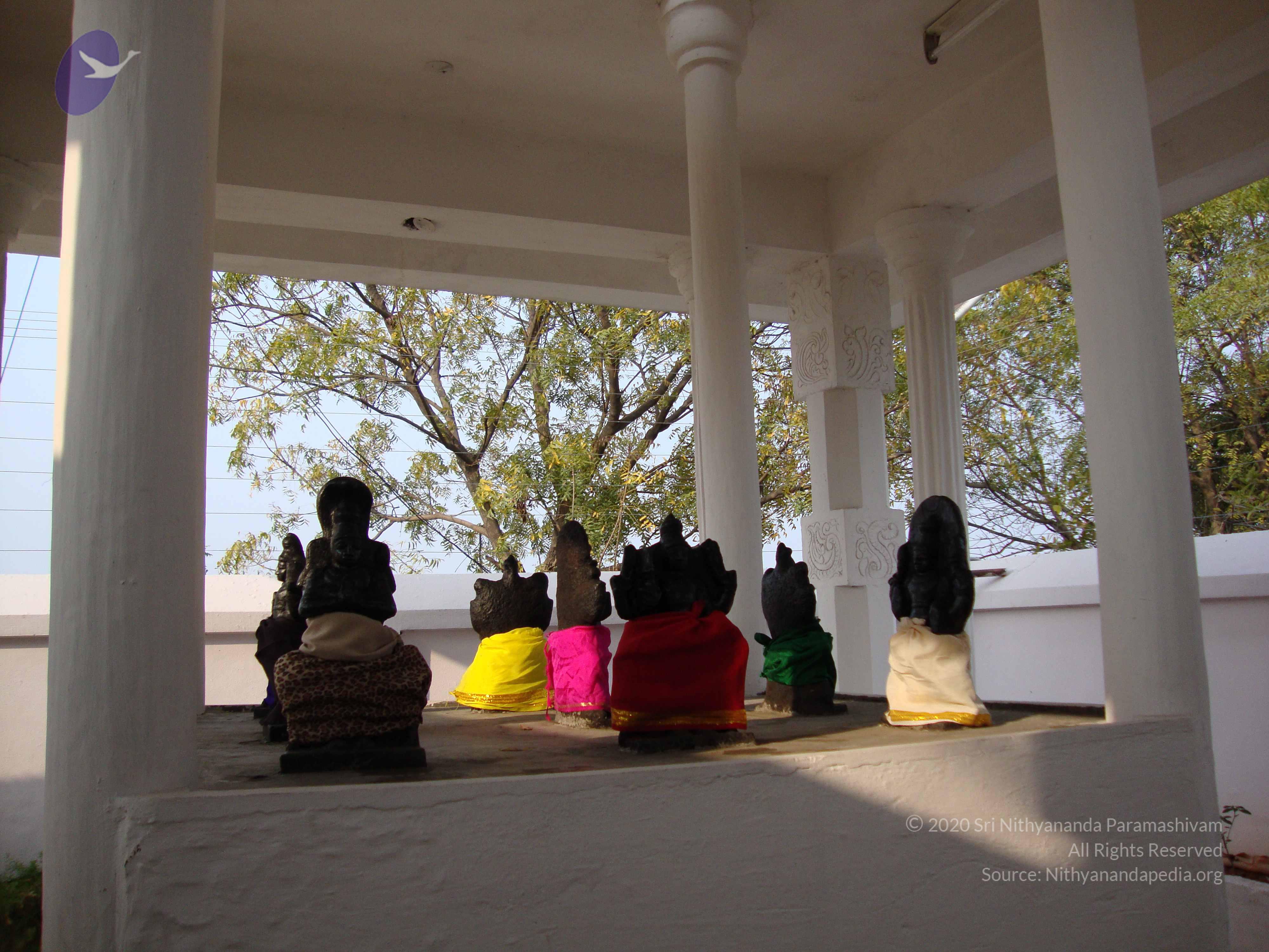 20100926_Photo_1163_DSC00340_CMP_WM