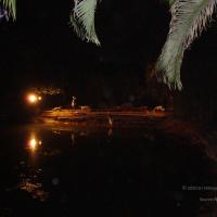 20100926_Photo_1164_DSC00201_CMP_WM