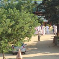 20100926_Photo_1234_DSC00765_CMP_WM