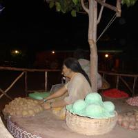 20100926_Photo_1242_DSC00228_CMP_WM