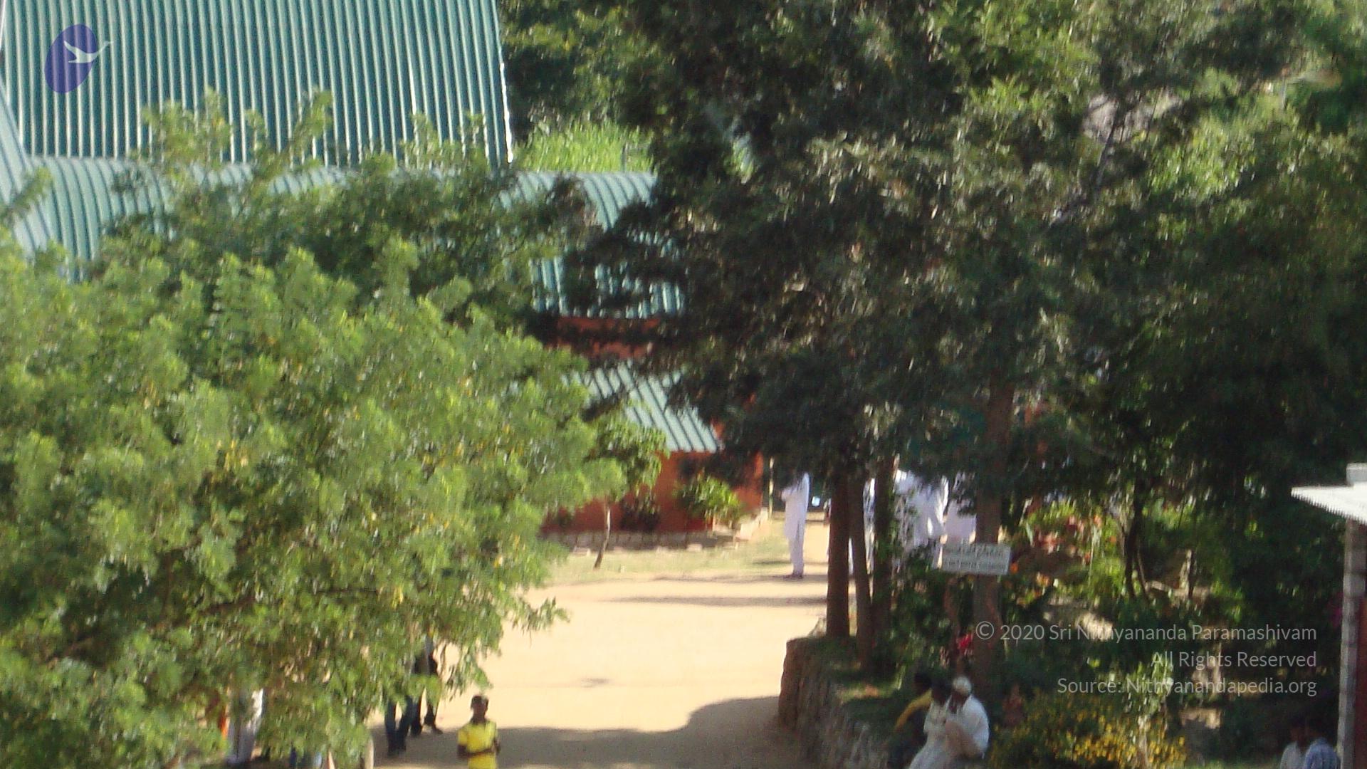 20100926_Photo_1259_DSC00684_CMP_WM