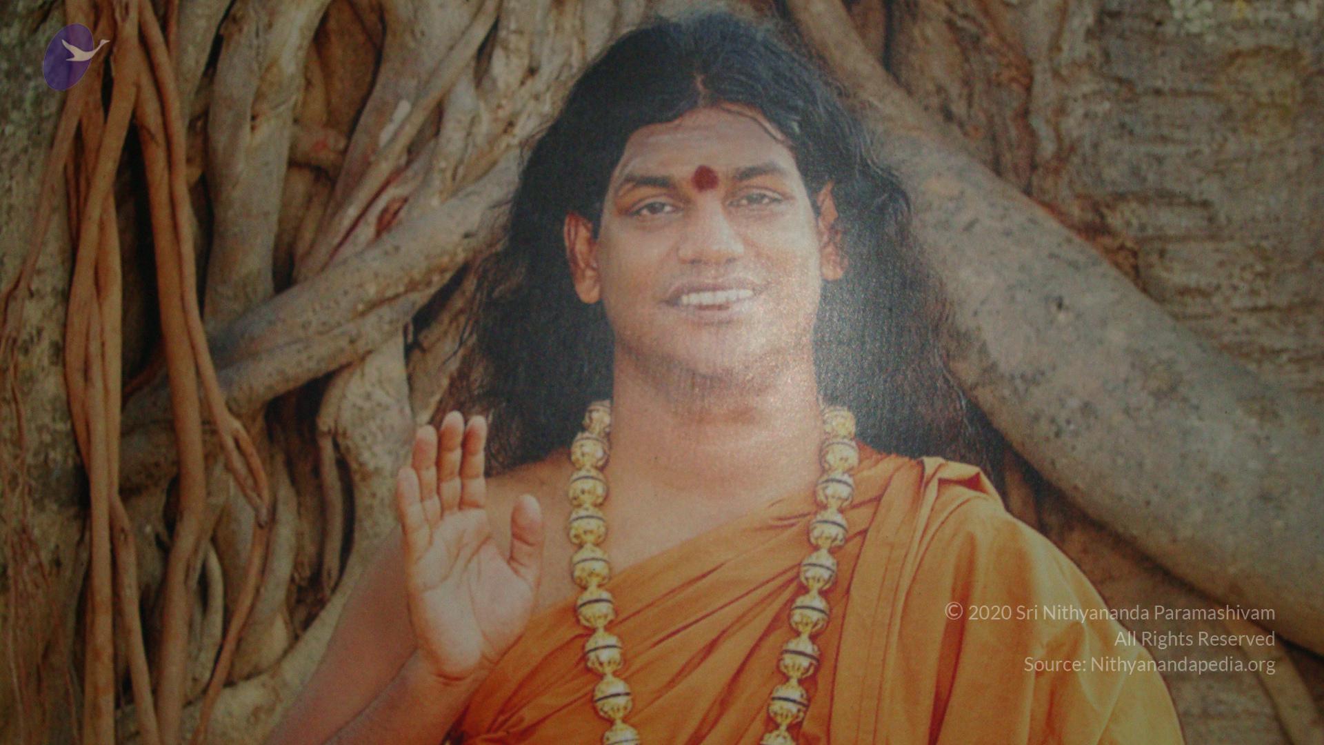 20100926_Photo_1262_DSC00184_CMP_WM