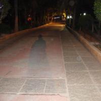 20100926_Photo_1271_DSC00198_CMP_WM