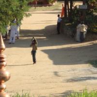 20100926_Photo_1279_DSC00708_CMP_WM