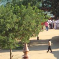 20100926_Photo_1294_DSC00741_CMP_WM