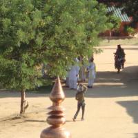 20100926_Photo_1303_DSC00705_CMP_WM