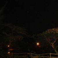 20100926_Photo_1307_DSC00190_CMP_WM