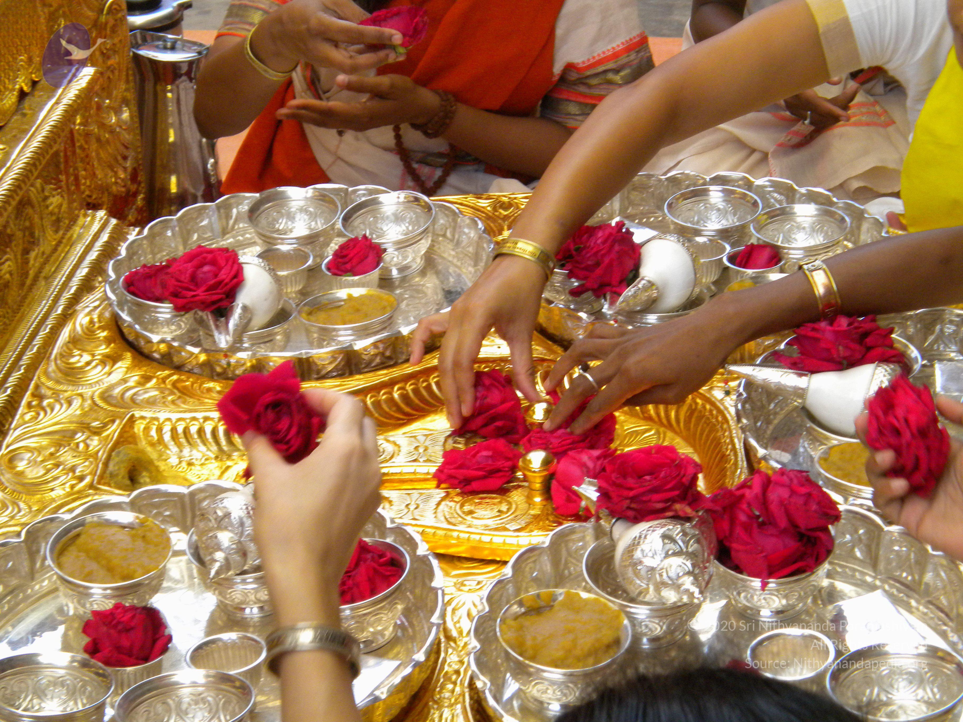 20100927_Photo_1008_DSCN1478_CMP_WM