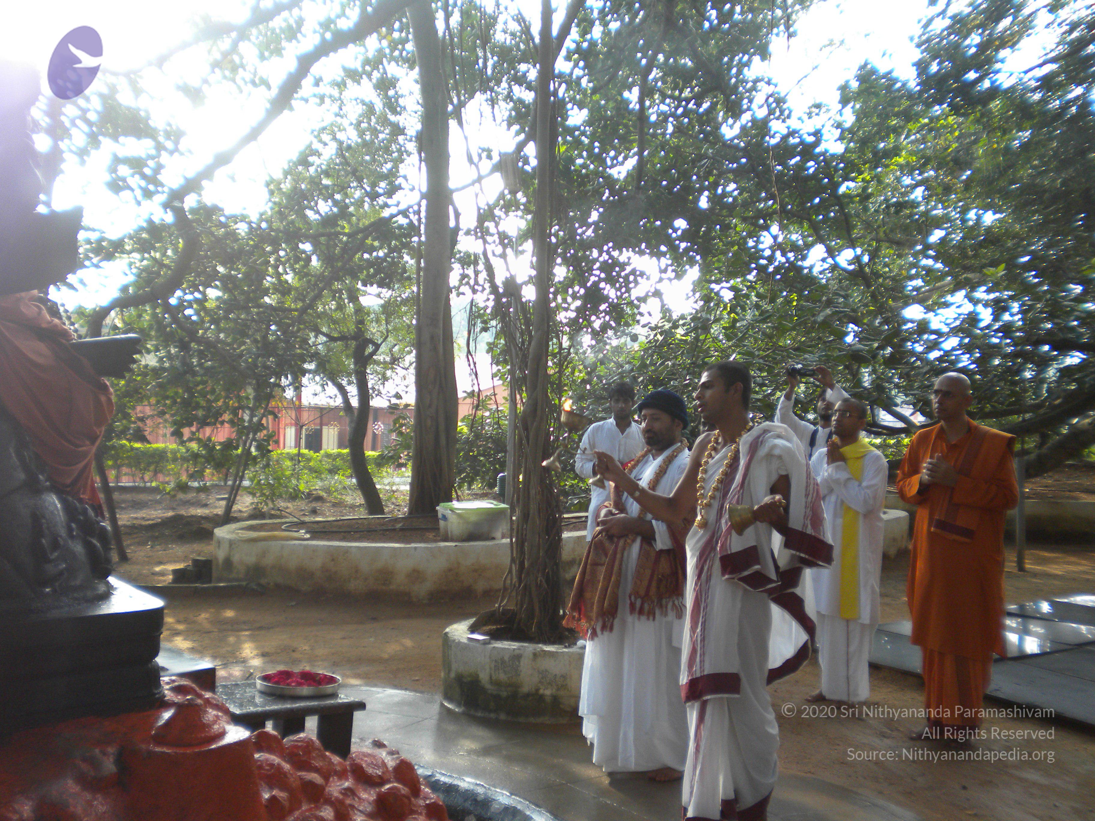 20100927_Photo_1003_DSCN1452_CMP_WM