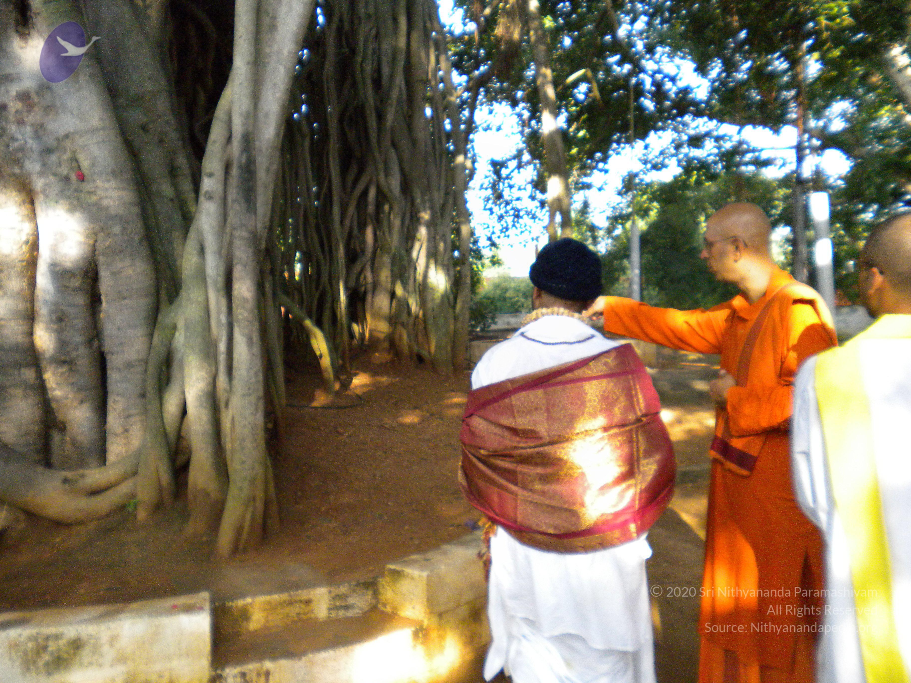 20100927_Photo_1005_DSCN1457_CMP_WM