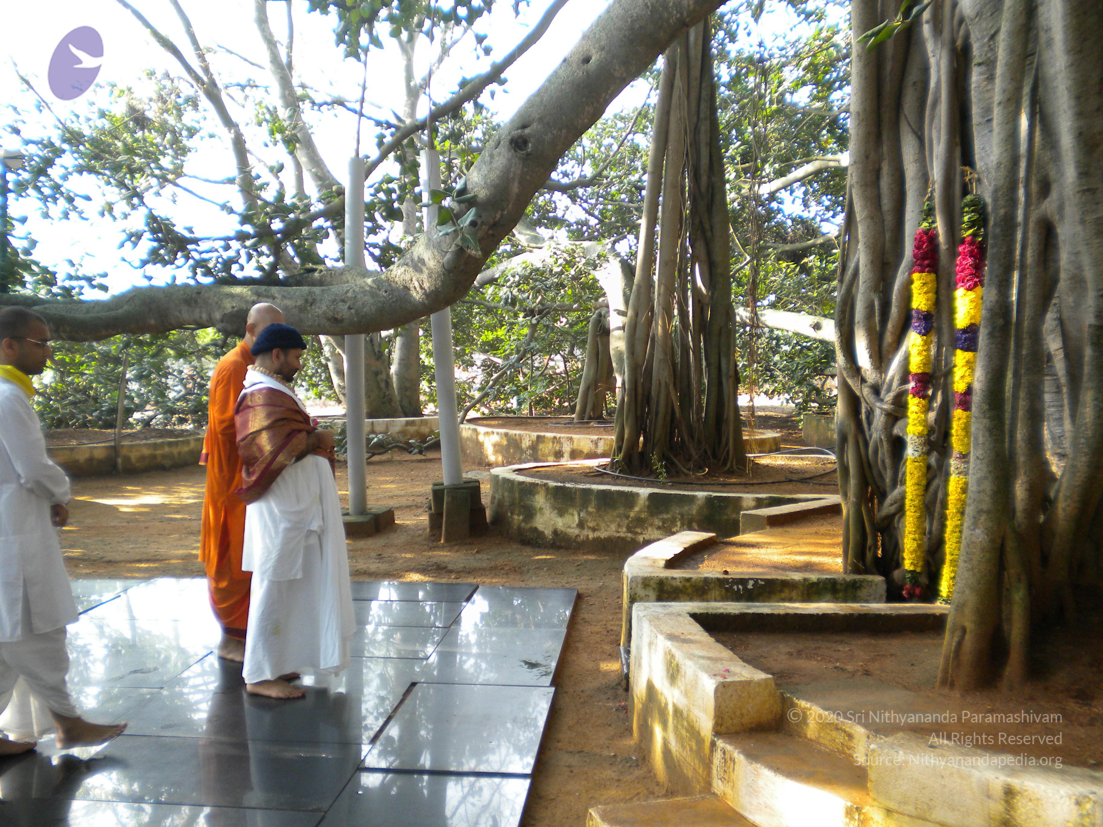 20100927_Photo_1016_DSCN1455_CMP_WM