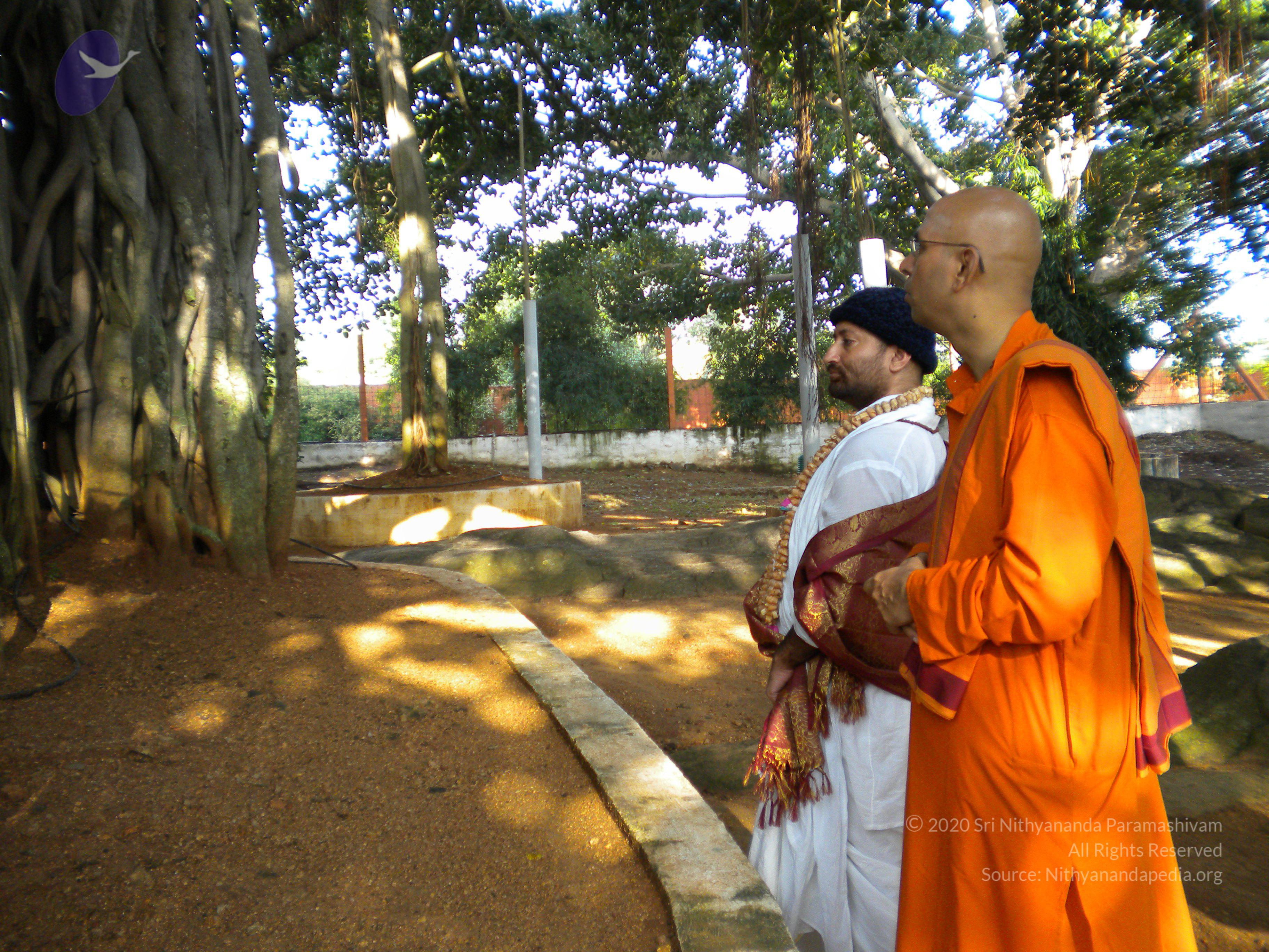 20100927_Photo_1019_DSCN1458_CMP_WM