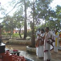 20100927_Photo_1003_DSCN1452_CMP_WM