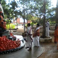 20100927_Photo_1012_DSCN1450_CMP_WM