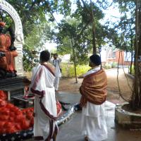 20100927_Photo_1033_DSCN1448_CMP_WM