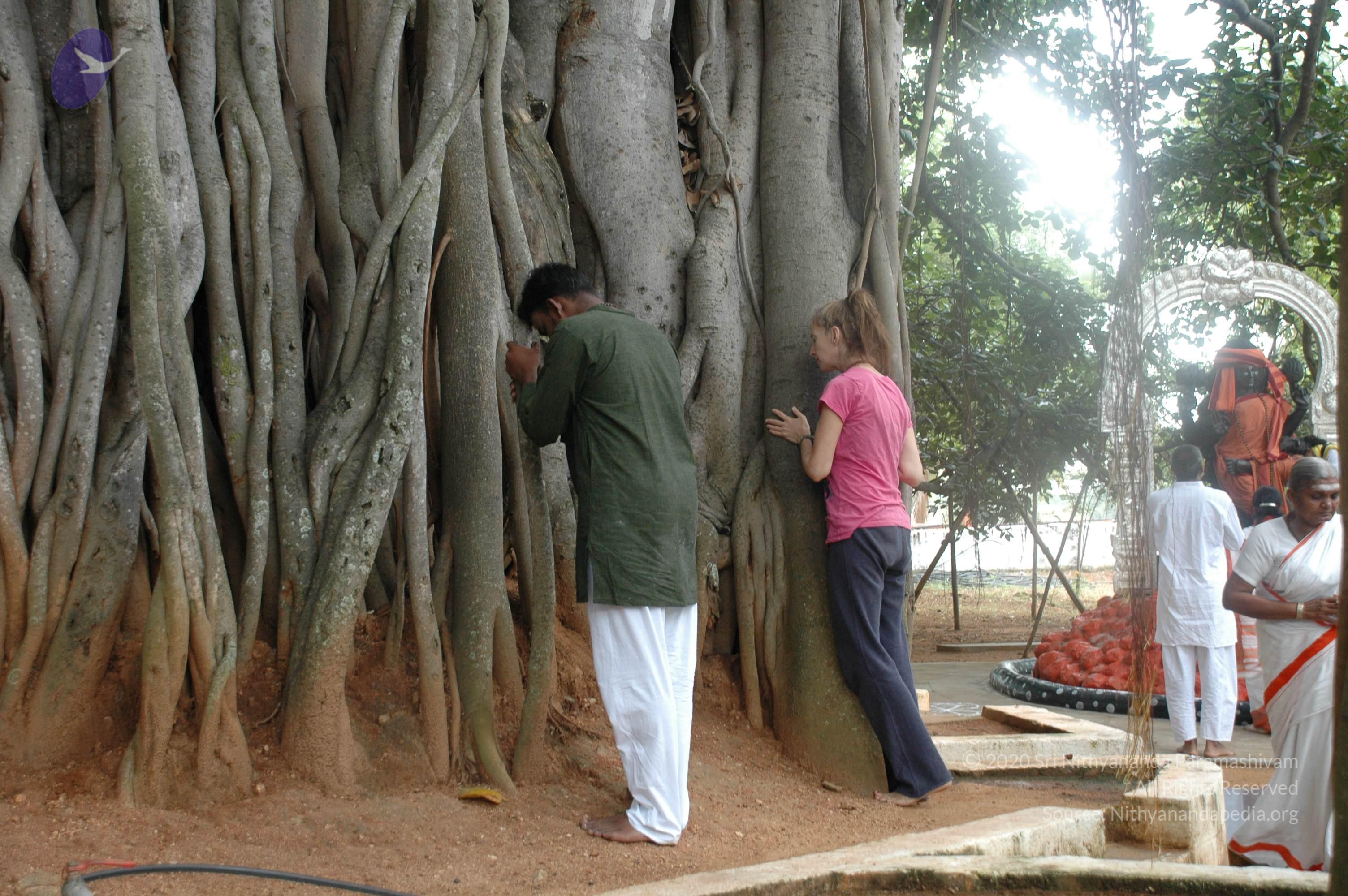 20100928_Photo_1004_DSC_5959_CMP_WM