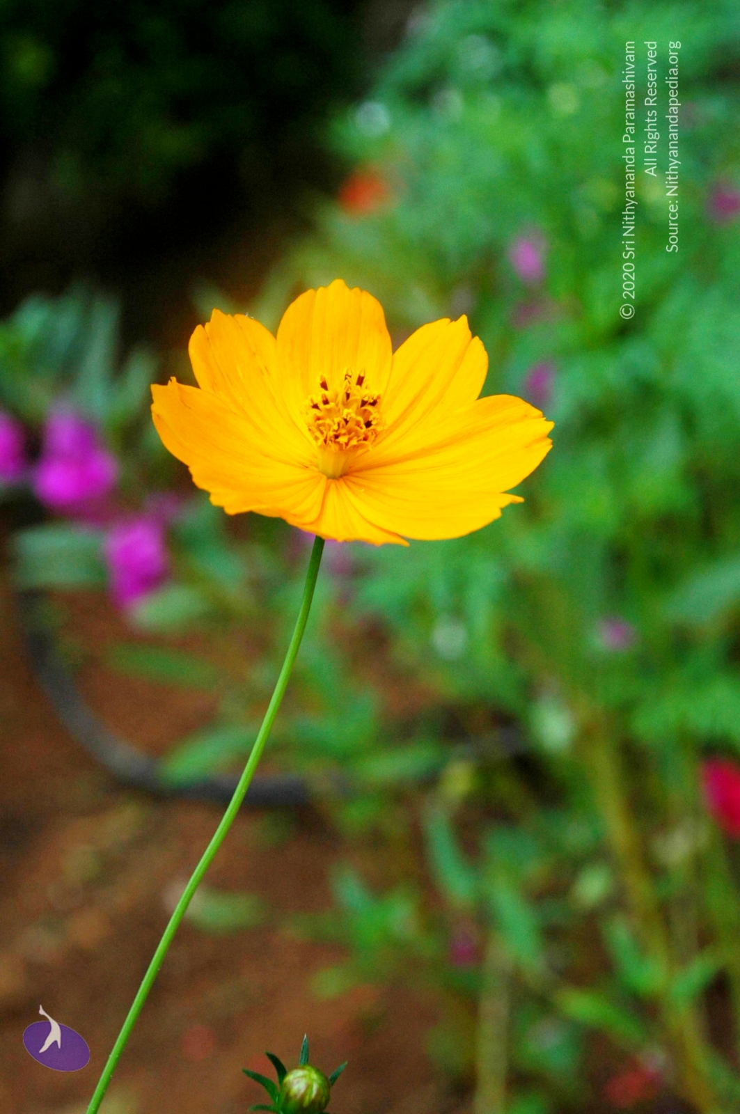 20100928_Photo_1005_DSC_5948_CMP_WM