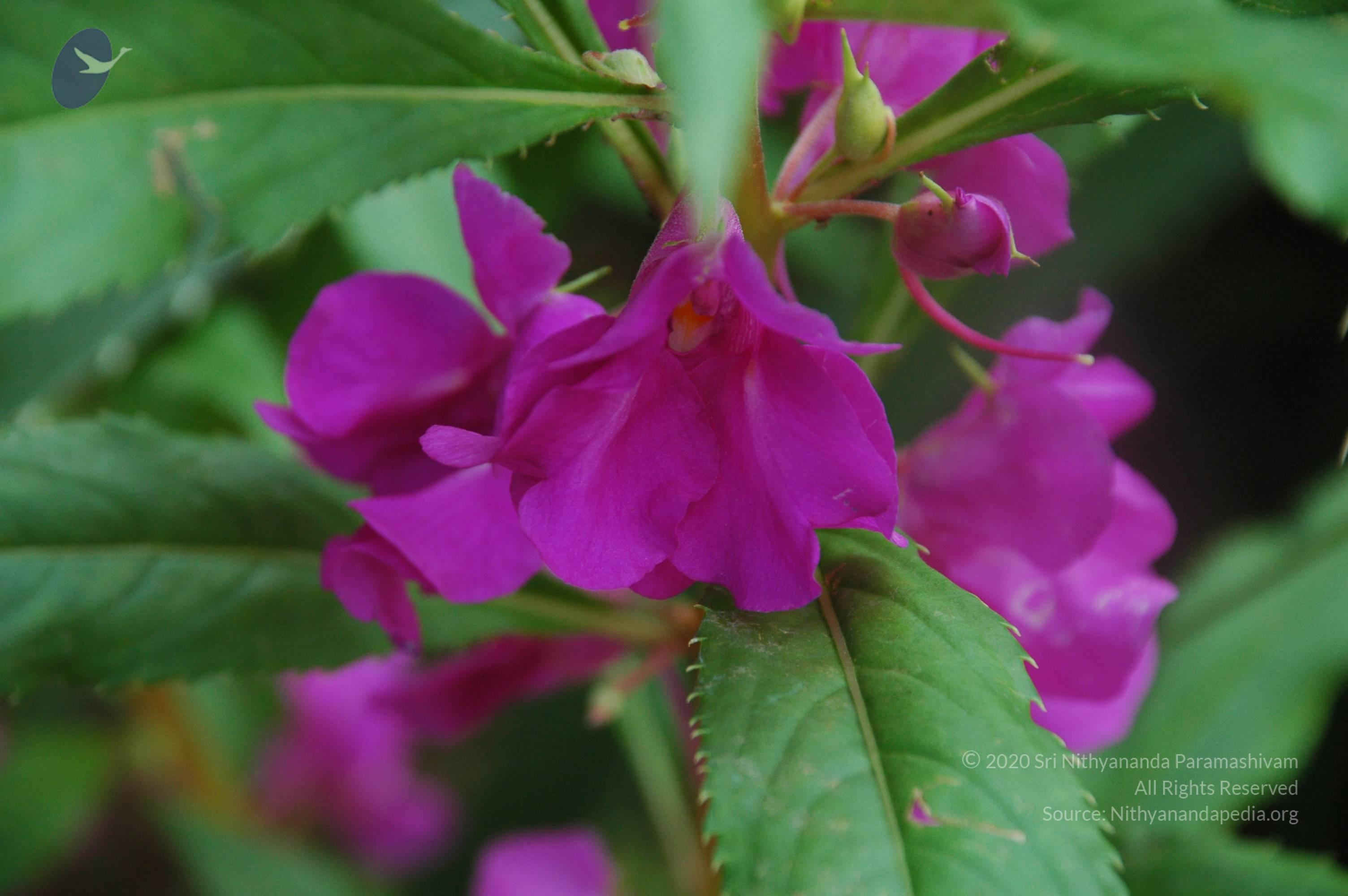 20100928_Photo_1006_DSC_5946_CMP_WM