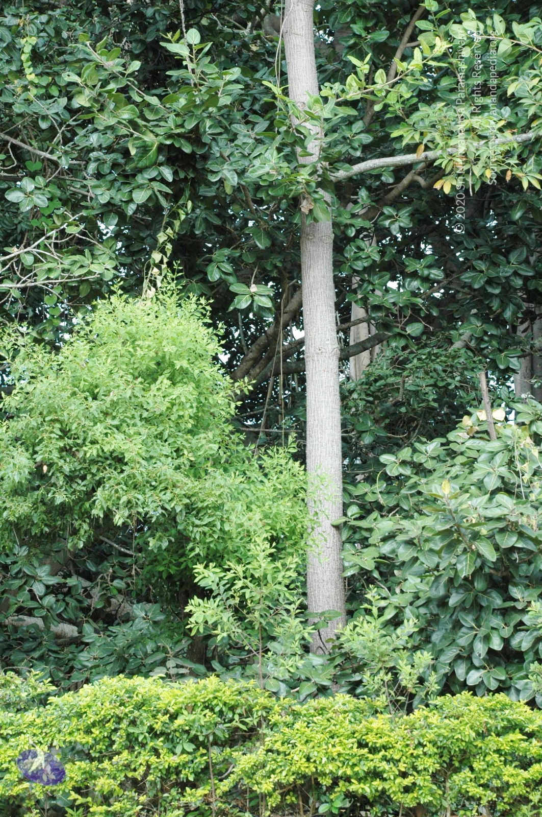 20100928_Photo_1007_DSC_5920_CMP_WM