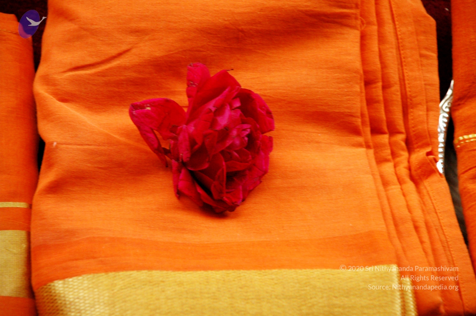 20100928_Photo_1030_DSC_5866_CMP_WM