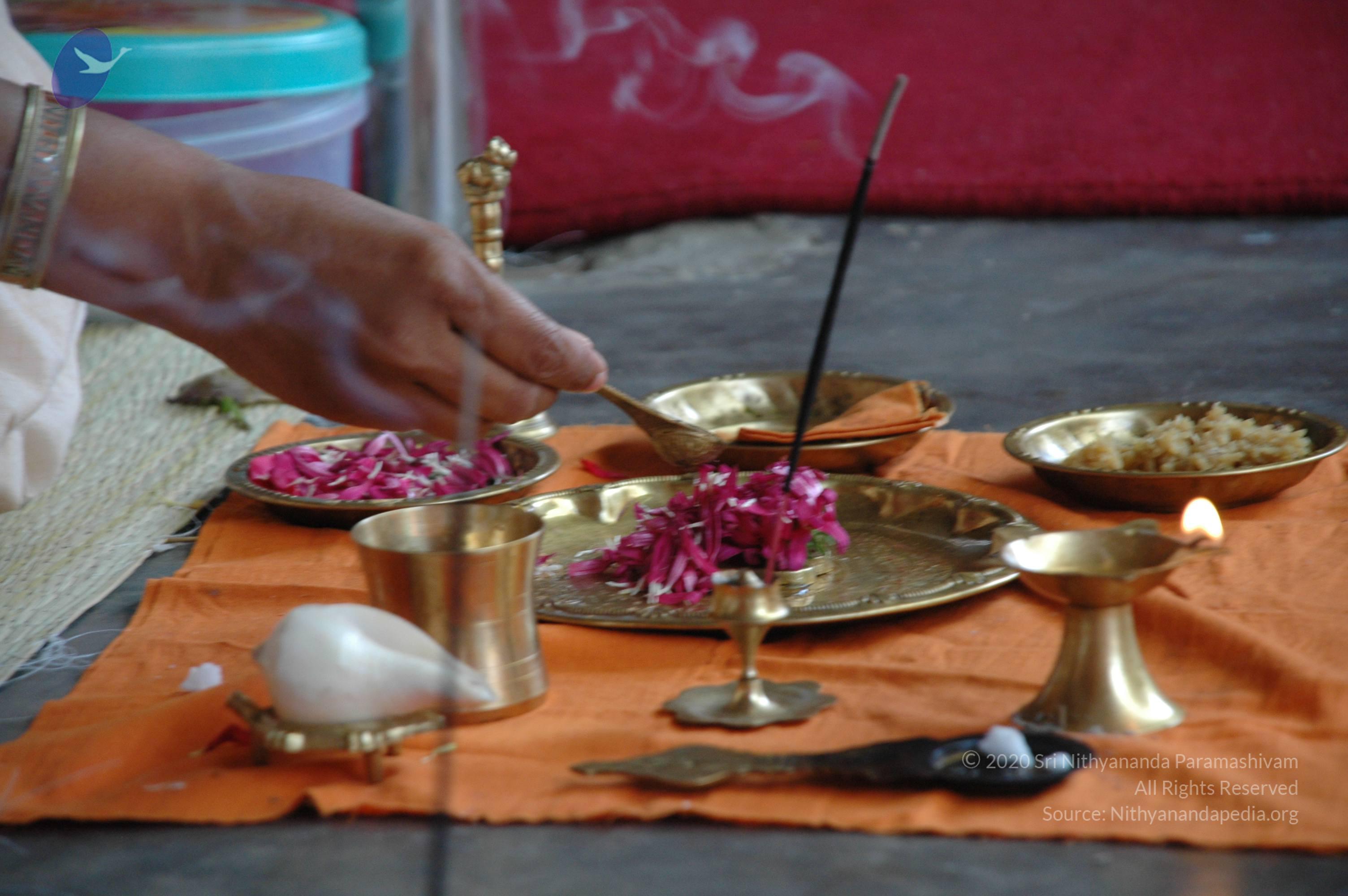 20100928_Photo_1034_DSC_5894_CMP_WM