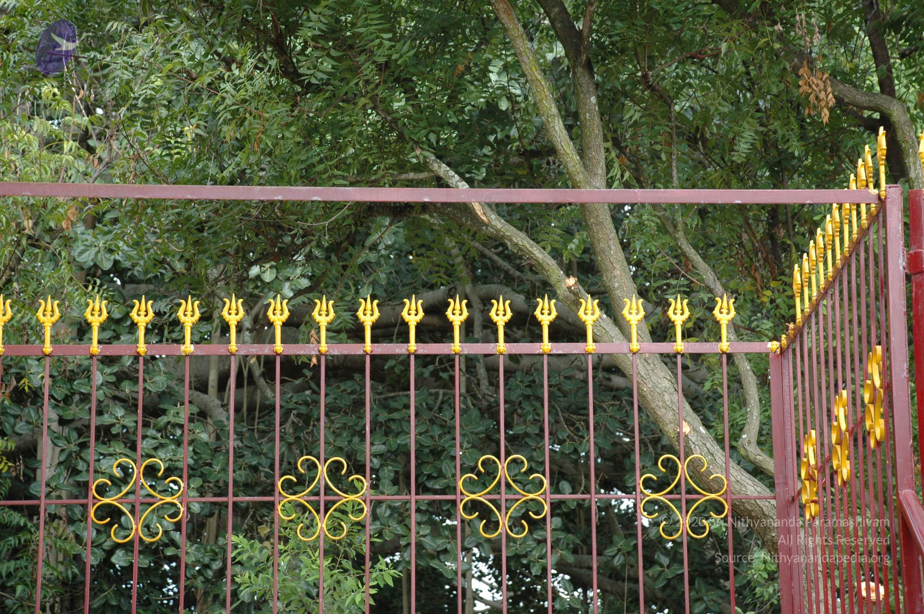 20100928_Photo_1047_DSC_5929_CMP_WM