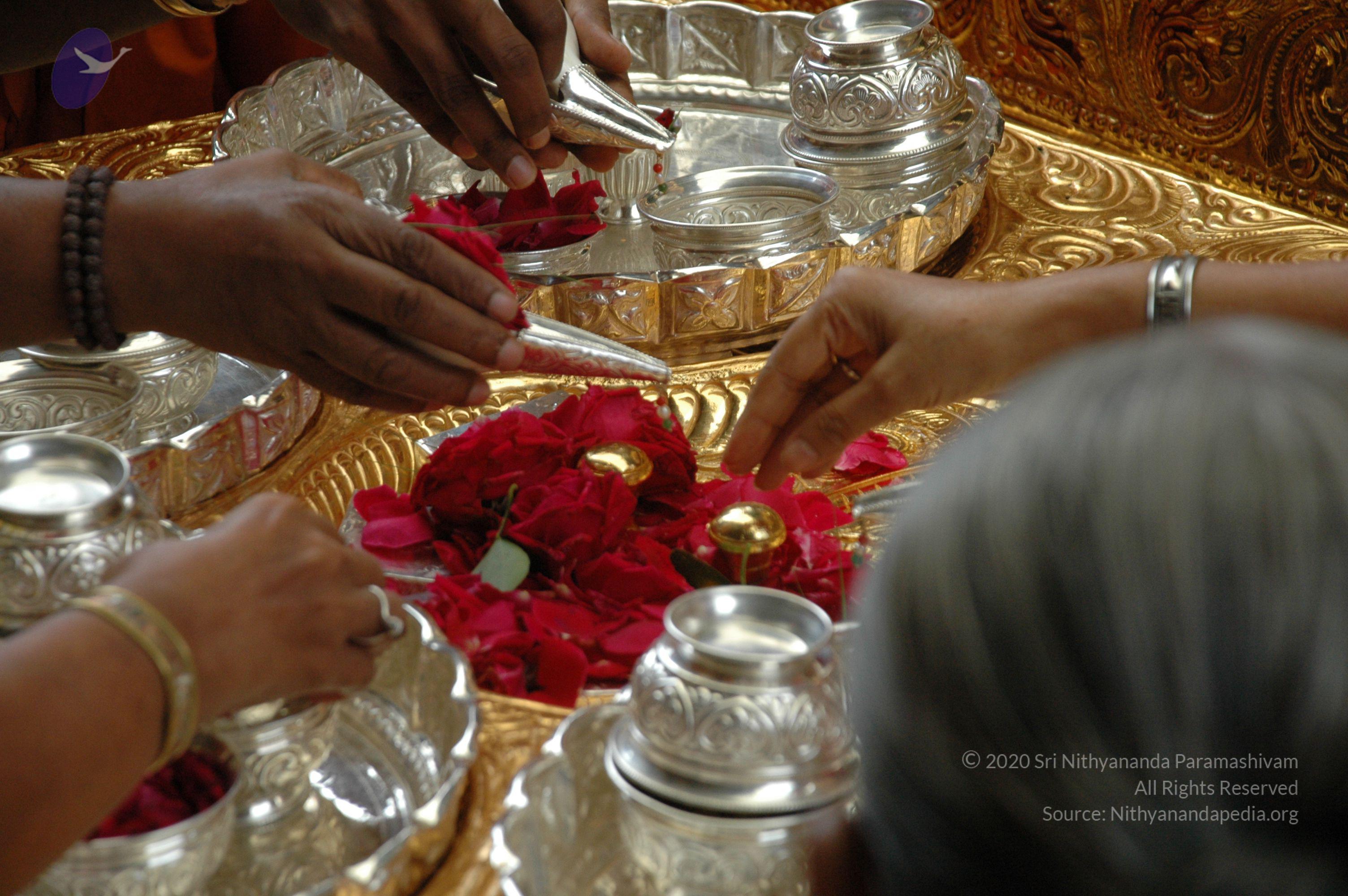 20100928_Photo_1052_DSC_5892_CMP_WM