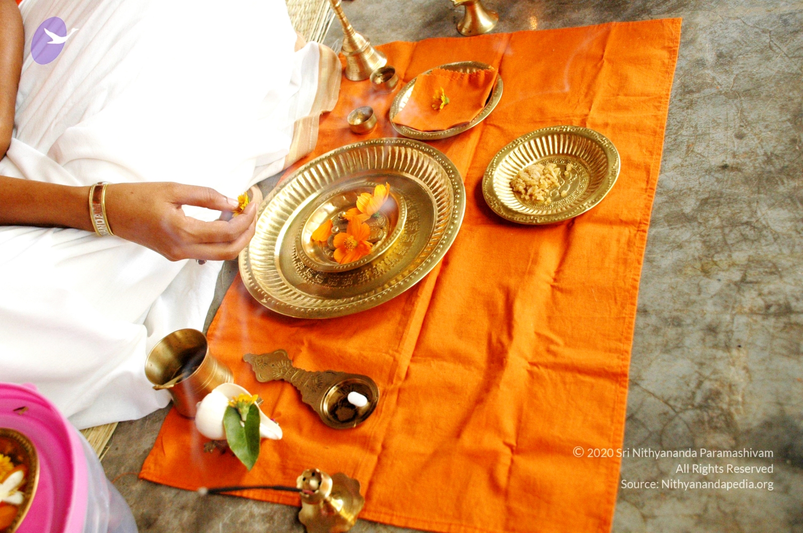 20100928_Photo_1061_DSC_5884_CMP_WM