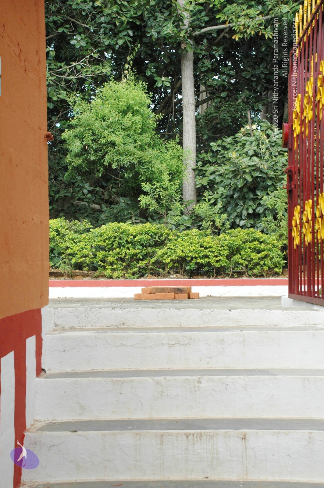 20100928_Photo_1068_DSC_5919_CMP_WM