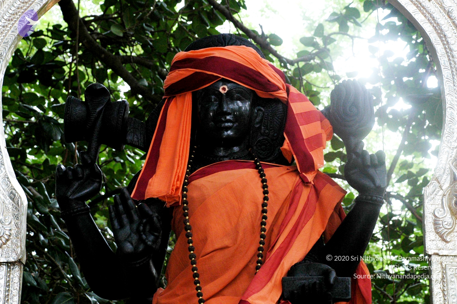 20100928_Photo_1009_DSC_5952_CMP_WM