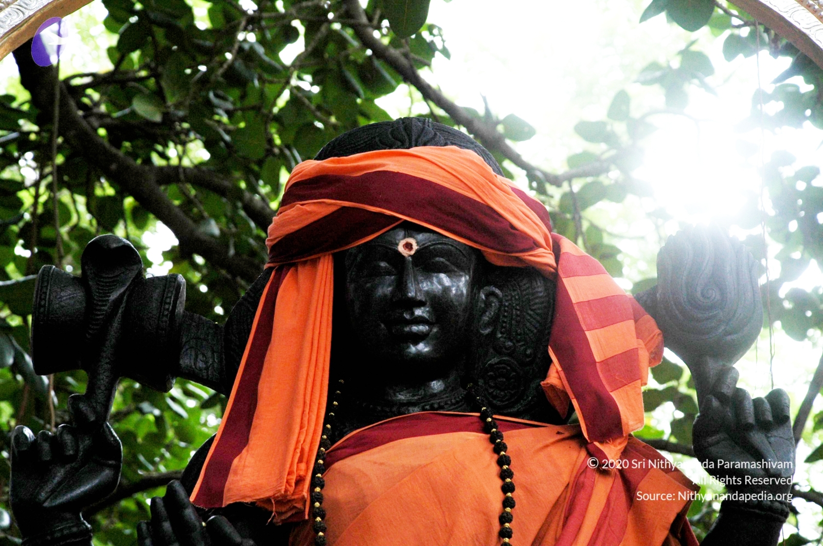 20100928_Photo_1014_DSC_5955_CMP_WM