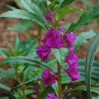 20100928_Photo_1003_DSC_5945_CMP_WM