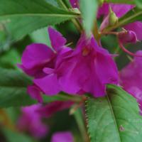 20100928_Photo_1006_DSC_5946_CMP_WM