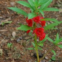 20100928_Photo_1007_DSC_5944_CMP_WM