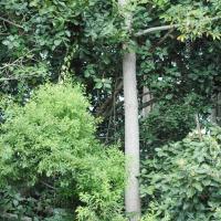 20100928_Photo_1007_DSC_5920_CMP_WM