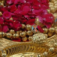 20100928_Photo_1012_DSC_5973_CMP_WM