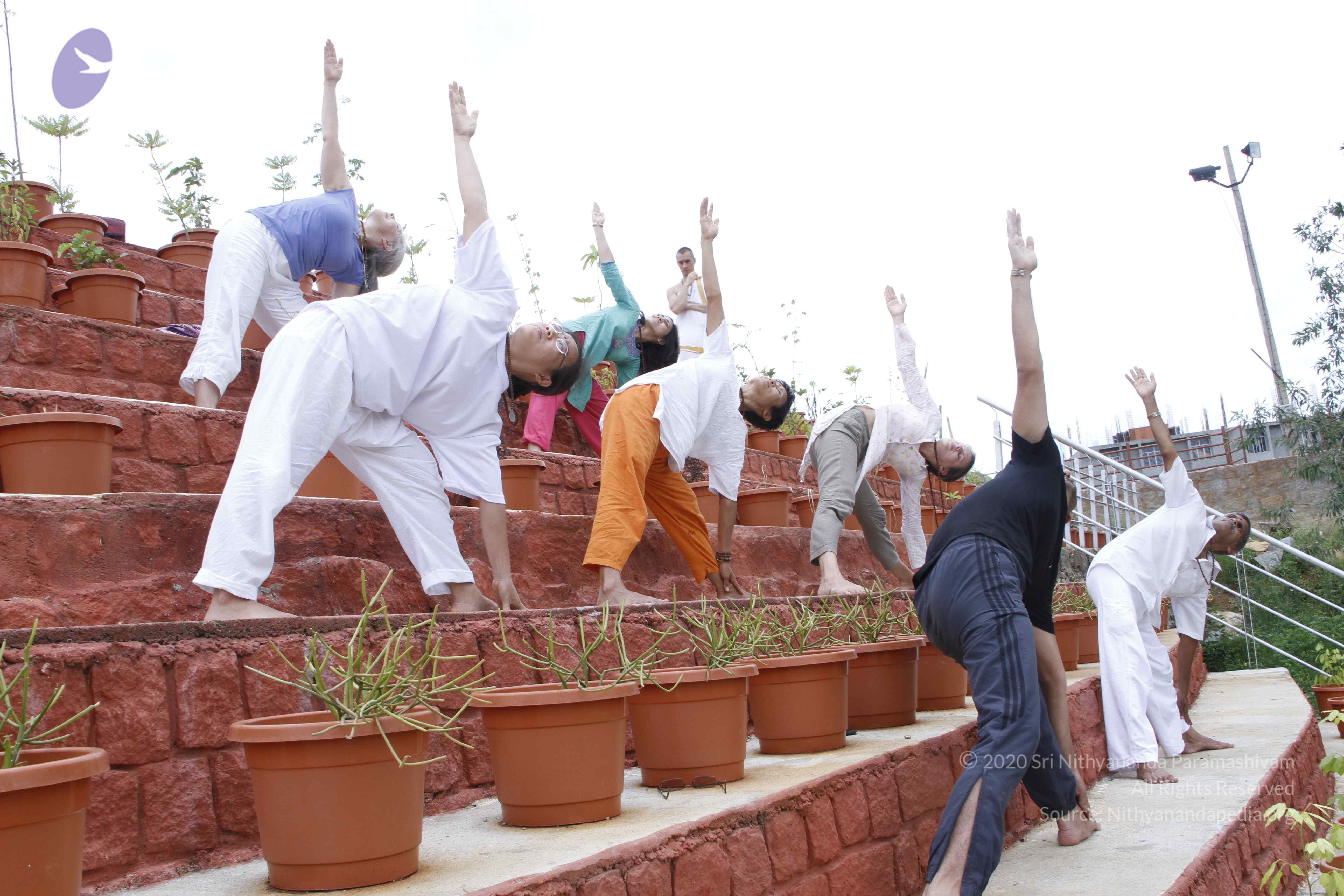 20110801_Photo_1002__MG_8726_CMP_WM