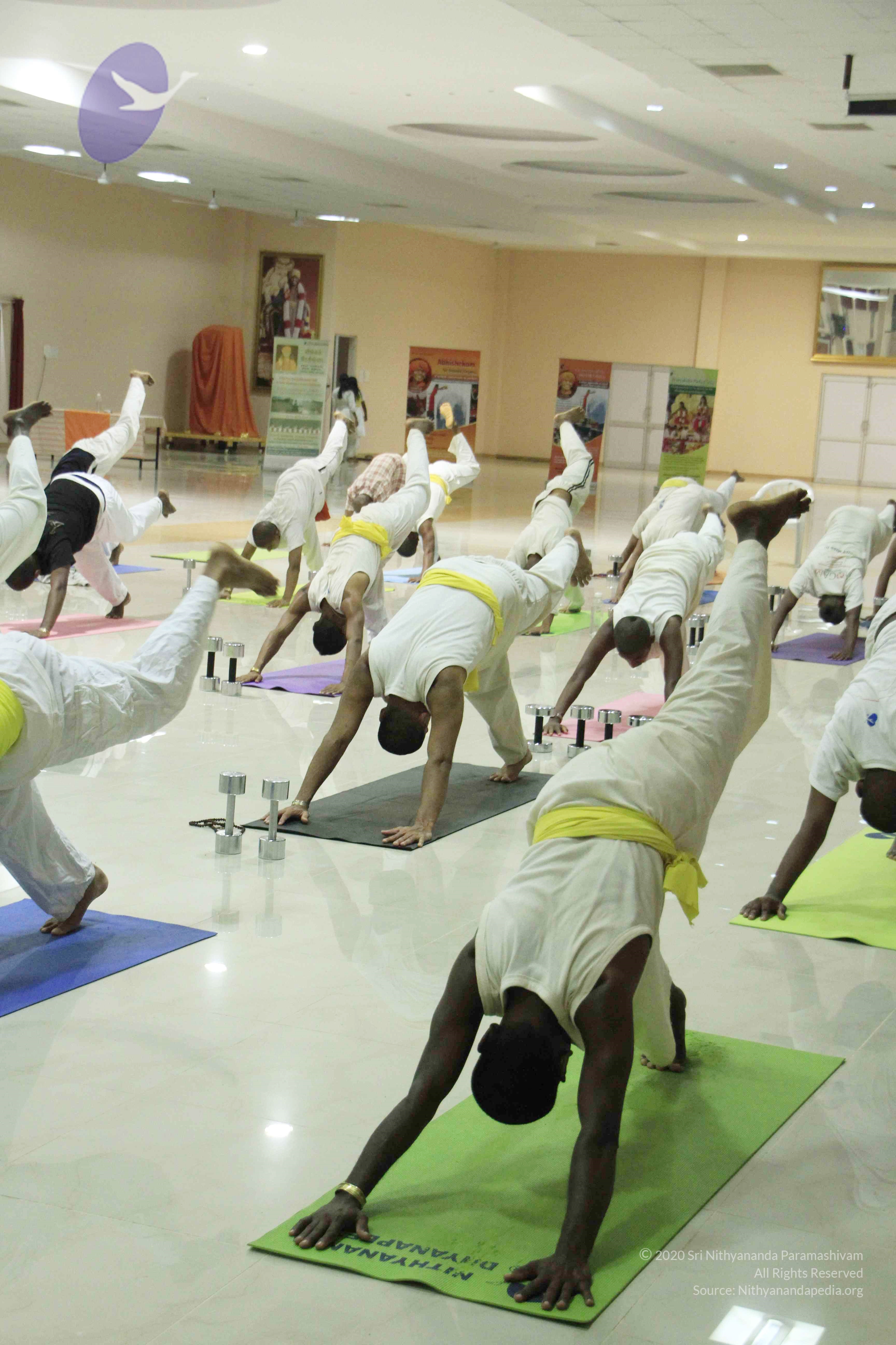 20110801_Photo_1004__MG_8539_CMP_WM