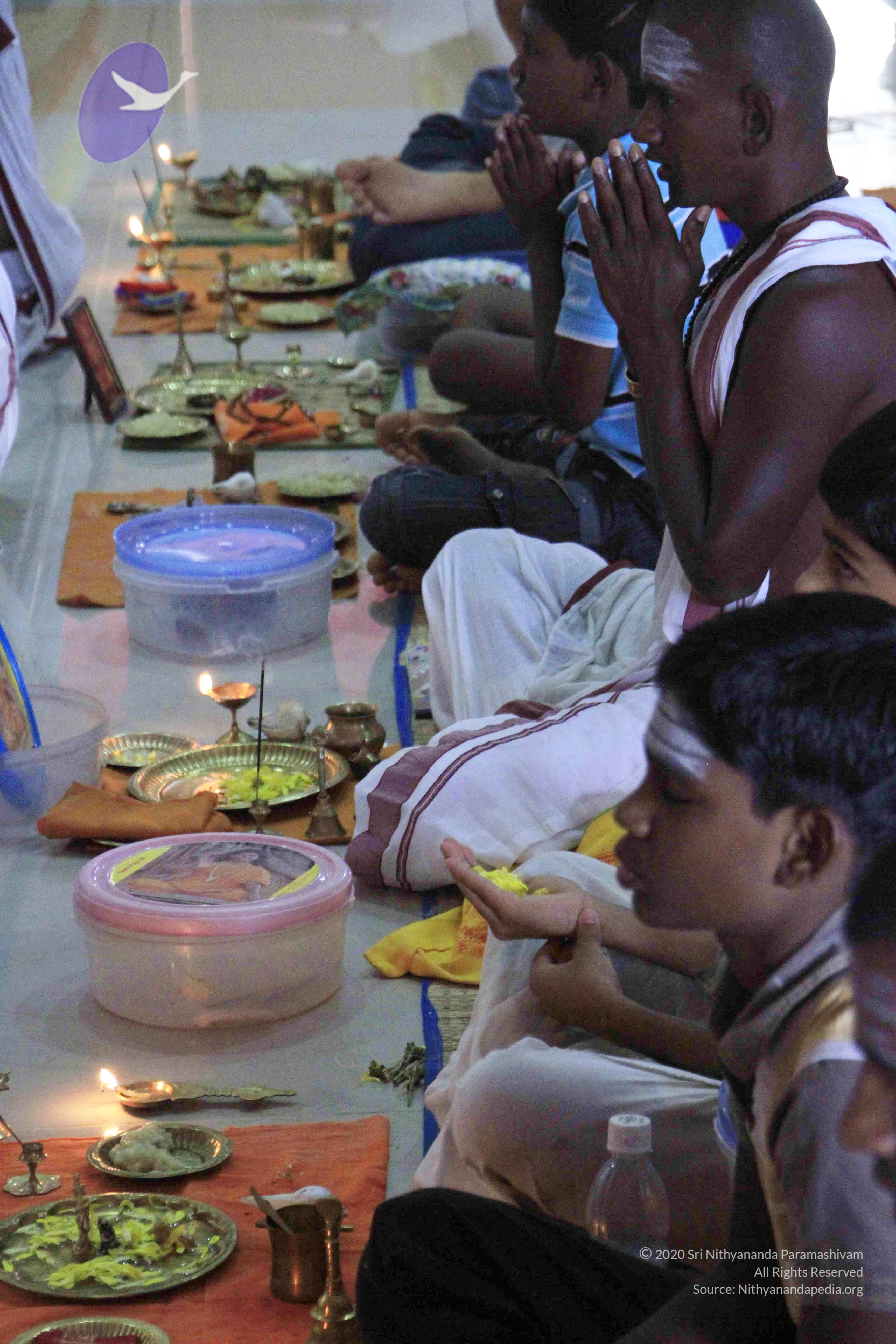 20110801_Photo_1006__MG_8667_CMP_WM